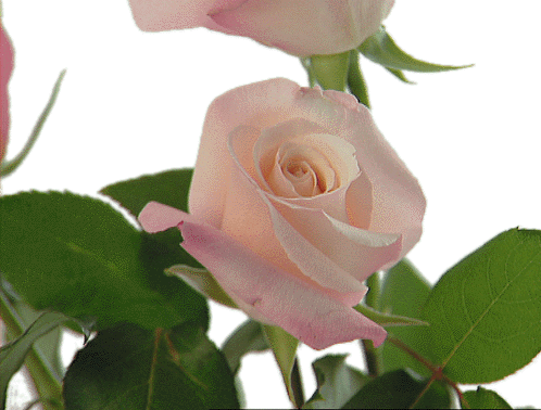 ................................